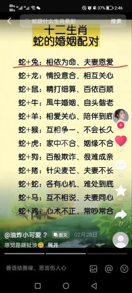 生肖蛇和什么属相最忌（属蛇最忌三种属相冲突详解）