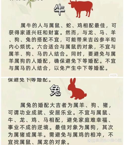 属相牛和生肖兔（属牛和属兔相配吗）