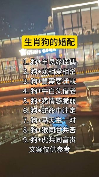 属相狗相合的生肖(属狗和什么生肖合最配?)