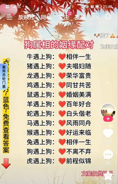 属相狗相合的生肖(属狗和什么生肖合最配?)