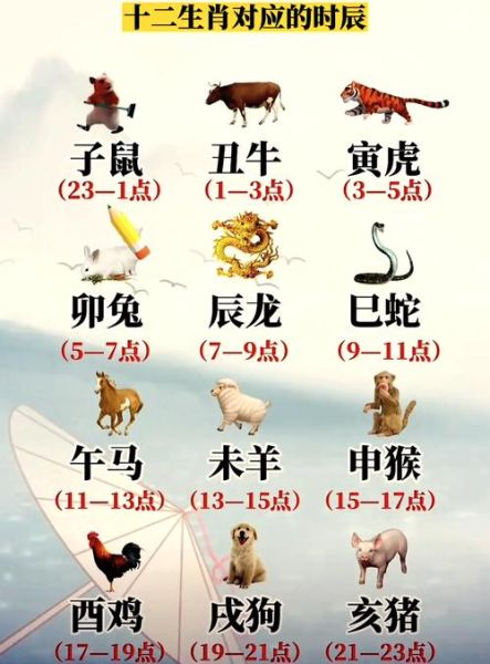 生肖属相所属（生肖属相到底按哪一天算？）