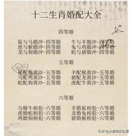 十二生肖属相昵称配对(十二生肖情侣昵称配对大全)