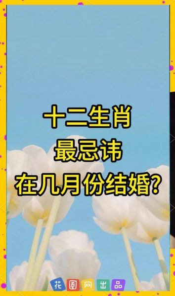 再婚的生肖属相（再婚的生肖属相有哪些忌讳）