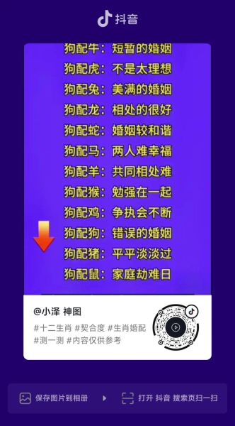 狗的最佳匹配生肖属相（狗生肖最佳婚配属相揭秘）