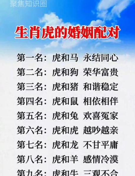 虎属相的相合生肖（虎属相最合生肖配对指南）