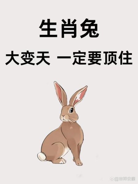 范蠡生肖属相是什么生肖（范蠡生肖属相揭秘：兔🐰🐰🐰）
