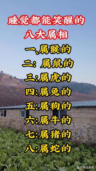 生肖属相搞笑说法（生肖属相搞笑说法大全合集）