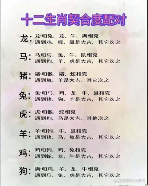 生肖属相相配对表（2025年属相配对表最完整版）