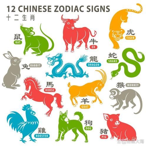张鼎什么生肖属相（张鼎生肖是猪吗 新手一看就懂）