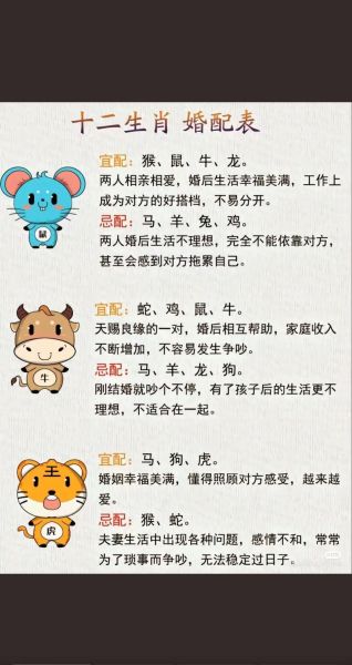 生肖匹配的属相（生肖匹配的属相查询）