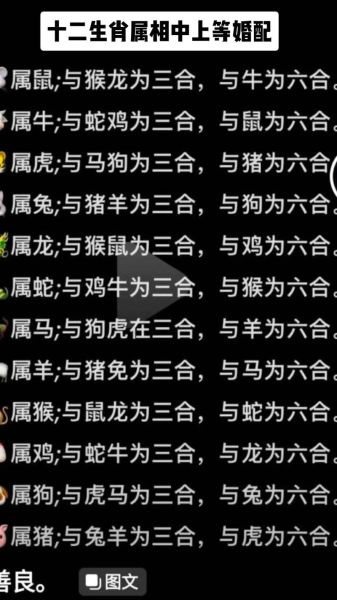 生肖属相玄学解释（生肖属相决定命运是真的吗）