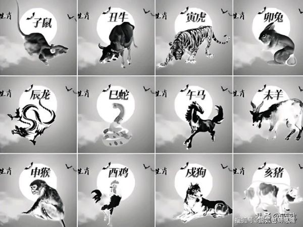 有魅力的生肖属相（最有魅力的生肖属相是谁）