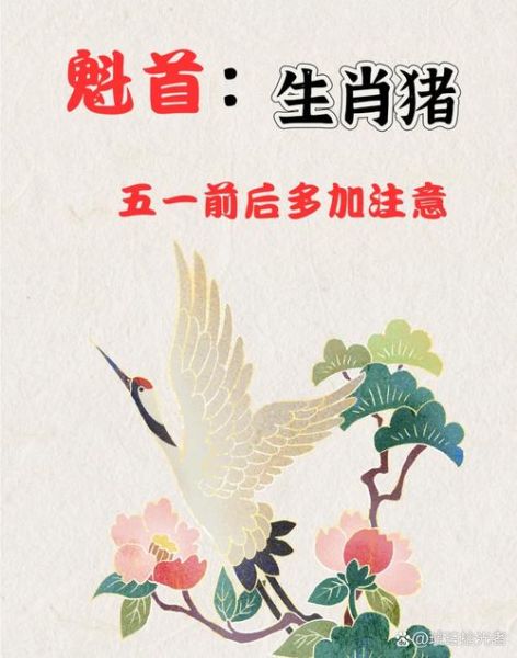 生肖猪不能在一起的属相（生肖猪相冲属相有哪些禁忌⚠️）