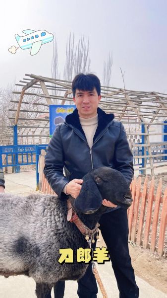 刀郎出生什么生肖属相（刀郎属什么生肖？小白秒查）