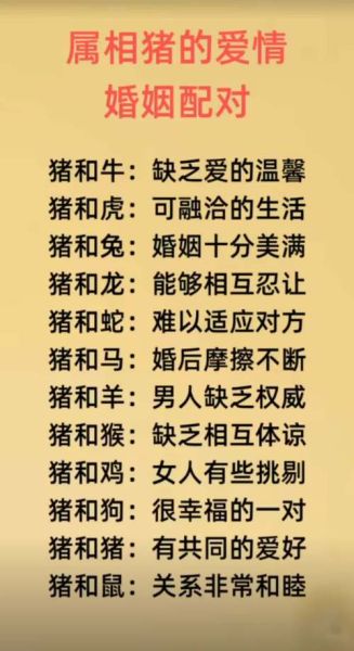 生肖猪属相配对排名