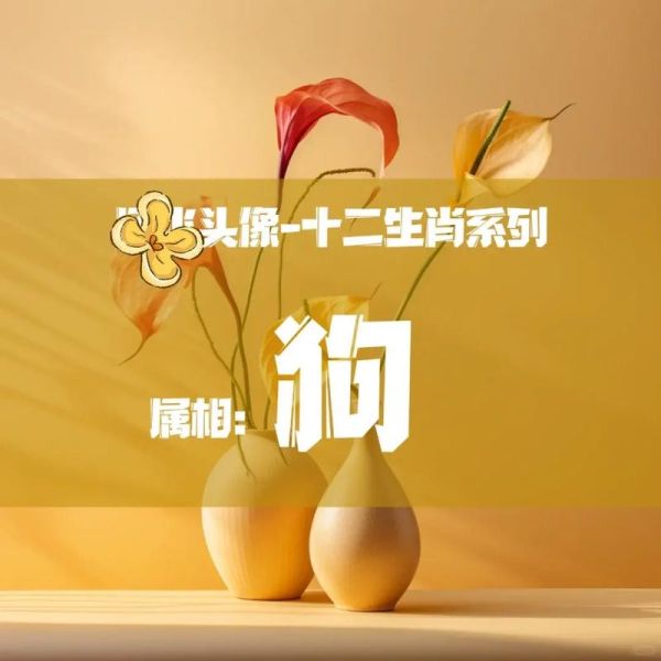 什么属相女人享福生肖狗（属狗女人真的天生享福吗🤔）