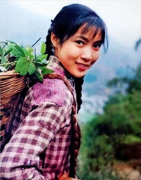 沈丹萍生肖属相（沈丹萍生肖属相揭秘）