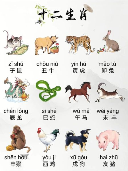 十二生肖多少个属相