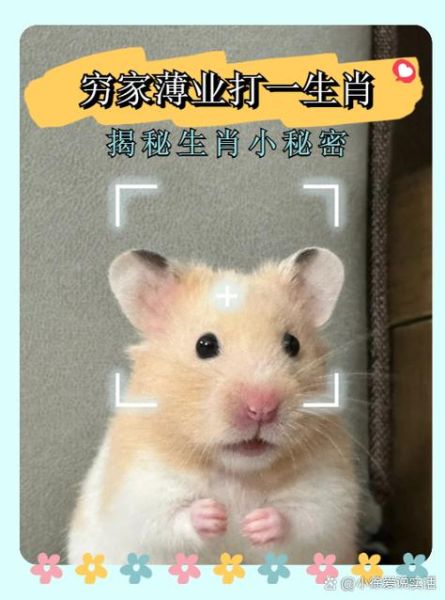 什么生肖属相最冷(生肖最冷的动物是哪个)