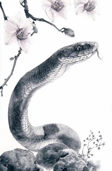 最会隐藏实力的属相生肖（属蛇人隐藏实力真相）