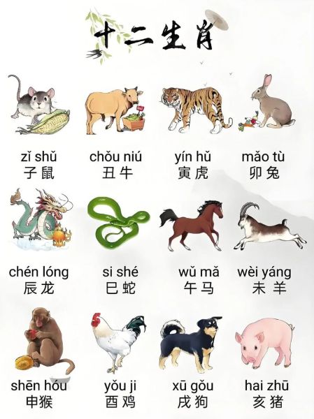 管子属相什么生肖(管子属相什么生肖 🐭)