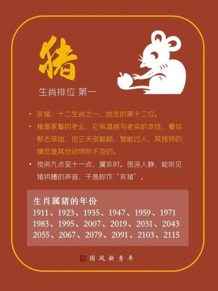 2007年属相什么生肖（2007年属什么生肖的猪）