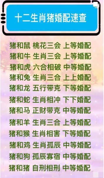 属相猪跟什么生肖配(属猪跟什么生肖最配对最合适)