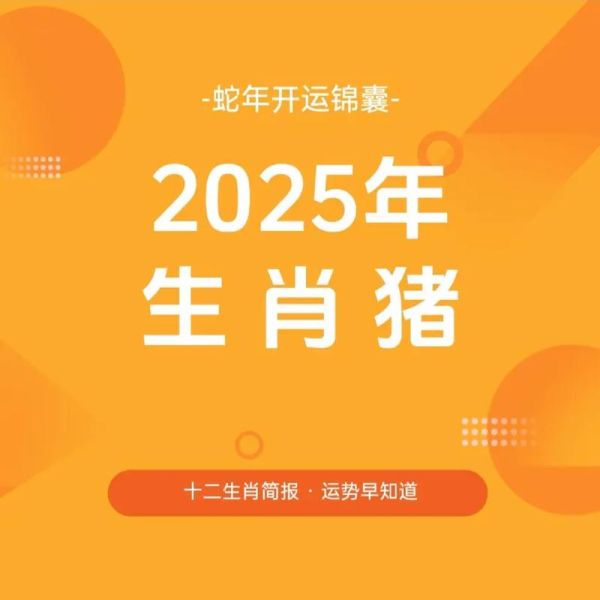 上热门生肖属相标题（2025年属猪人上热门转运指南）