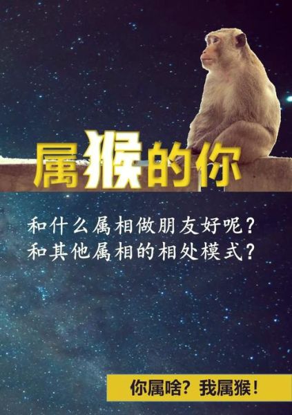 生肖猴相对的属相(生肖猴和虎相冲吗)