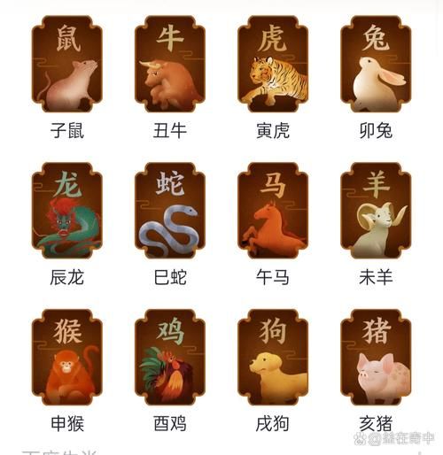 12属相什么生肖（12属相生肖排序查询💡）