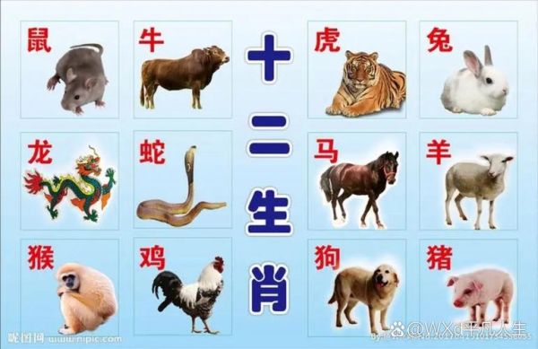 201属相是什么生肖（201年属啥生肖？新手一眼看懂）