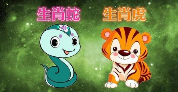 生肖属相虎和蛇(虎和蛇的属相适合做夫妻吗)