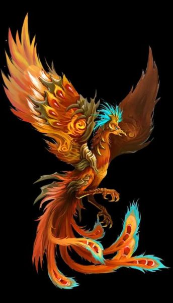 朱雀生肖属相（朱雀是生肖吗？真相一次看懂！）