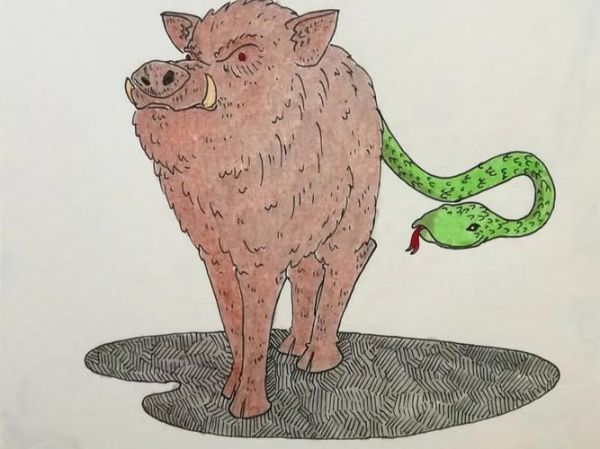 属相不合生肖蛇跟猪（生肖蛇和猪的属相合不合）