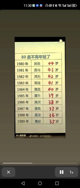 341岁属什么生肖属相