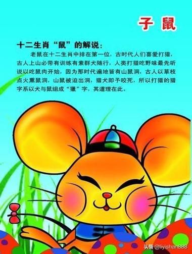 1996年什么生肖属相（1996年属什么生肖）