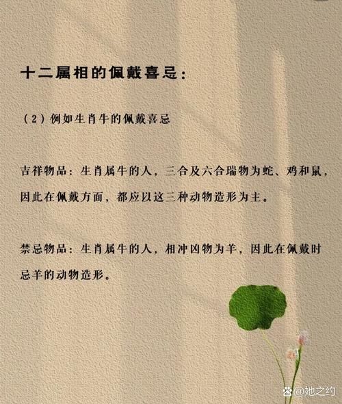 生肖兔冲属相（生肖兔冲属相怎么办？）