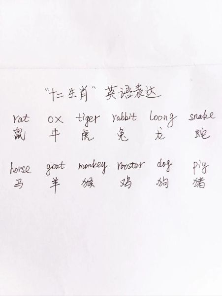 生肖_属相的英语(生肖英语怎么说最地道?)