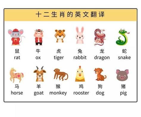 生肖_属相的英语(生肖英语怎么说最地道?)