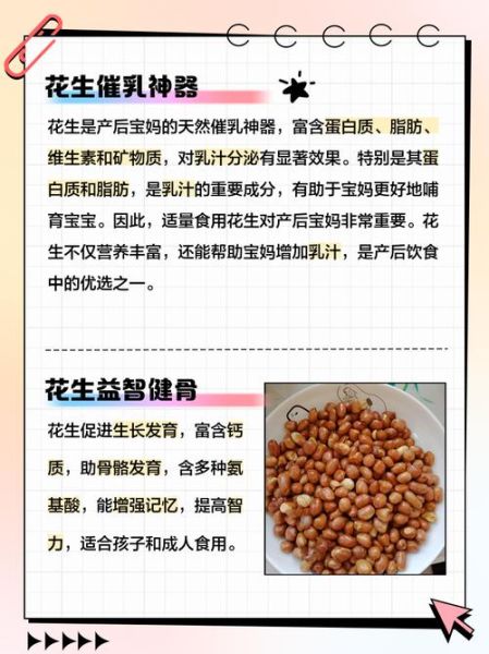 生肖中哪个属相为花生(花生到底属哪个生肖?一看就懂)