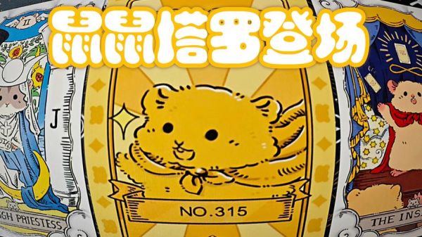 生肖属相塔罗牌占卜（2024生肖鼠未来3个月运势塔罗牌占卜）