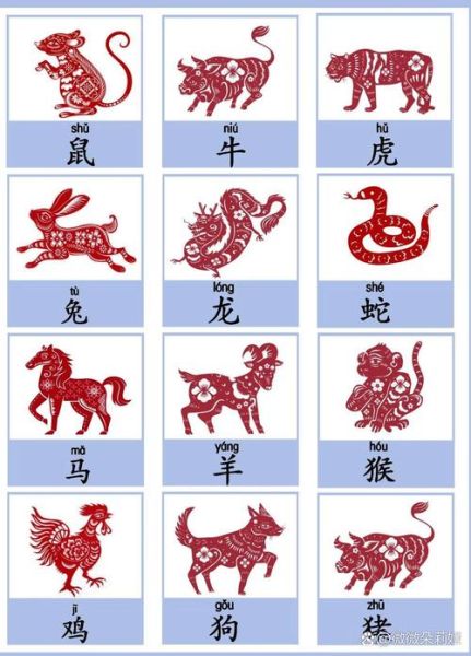 六五生肖属相（六五生肖是什么属相？）