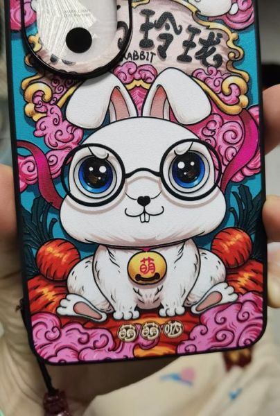 定制生肖属相手机壳（定制生肖属相手机壳选哪种更招财）