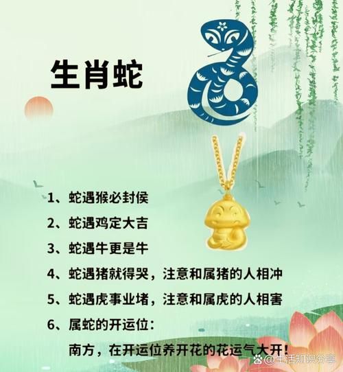 生肖属的贵人属相（属龙的贵人属相是什么？）