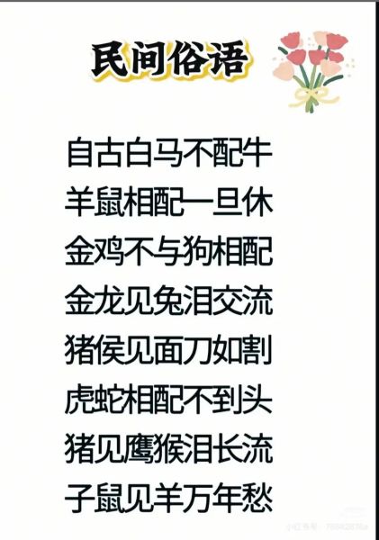 生肖属相国学解读（生肖属相国学解读新手入门）