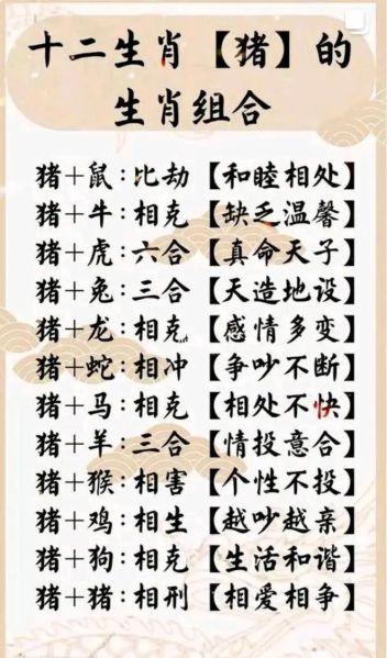 哪些生肖不合的属相
