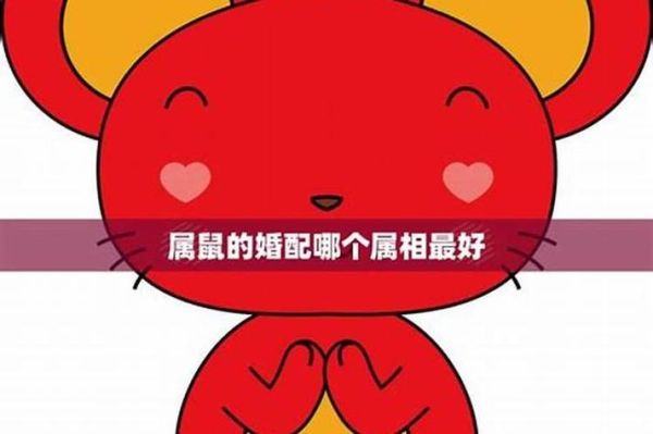 生肖鼠最难放下的属相（生肖鼠最难放下哪个属相❓）