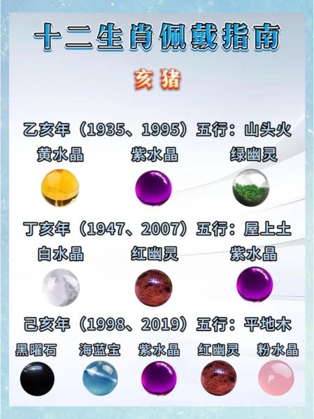 猪月属什么生肖属相(猪月到底属什么生肖?新手指南)