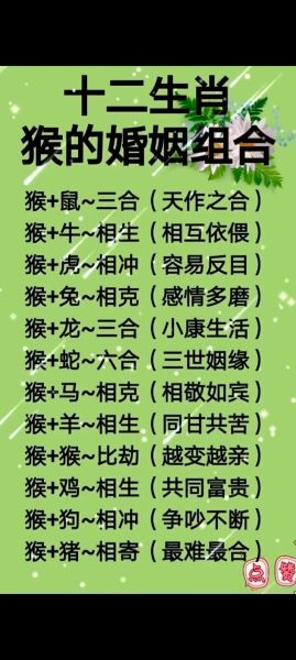 生肖鸡匹配的属相(生肖鸡和什么属相最配)