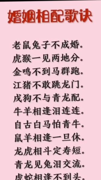 兔属相的绝配生肖男(兔女绝配生肖男排名TOP5)